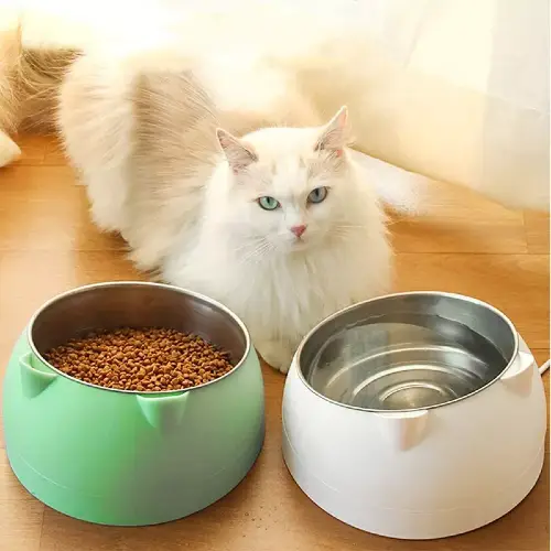 Romeow Tilted Stainless Steel Dog & Cat Bowl