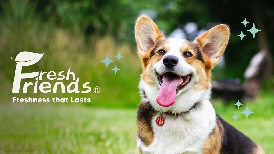 Shop Fresh Friends Pet Brand at Petstore