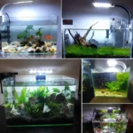 Buy Best Clip On Blue & White LED Aquarium Light at Petsasa Kenya