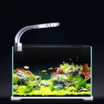 Buy Clip On Blue & White LED Aquarium Light in Nairobi Kenya