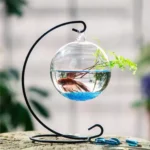 Buy Hanging Glass Fish Bowl Aquarium & Plant Vase Nairobi Kenya