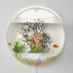 Large or Small Wall Hanging Fish Bowl Aquarium for pet fish in Nairobi Kenya