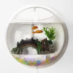 Modern Wall Hanging Fish Bowl Aquarium by Nairobi Aquarium Shop