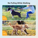 Using Anti Pull Training Dog Prong Collar With Comfort Rubber Tips for Dog Training Pet house kenya