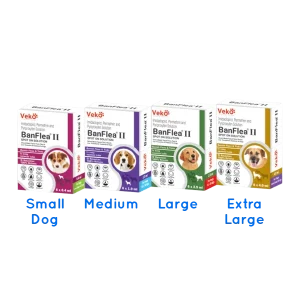 BanFlea II Flea & Tick Spot On Treatment for Dogs at Petsasa Nairobi Kenya