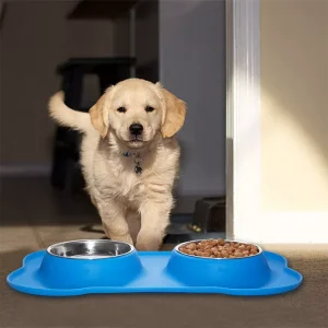 Beautiful Pet-Icon Double Stainless Steel Pet Bowl with Silicone Mat Pet store in Nairobi