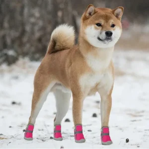 Beautiful Sport Bootie Warm Dog Boots in Nairobi Kenya