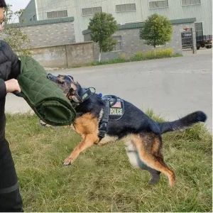 Best K9 Training Dog Bite Sleeve Dog Training Supplies in Nairobi Kenya