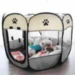 Best PetIcon Foldable Pop-Up Dog Play Pen