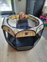 Large PetIcon Foldable Pop-Up Dog Play Pen