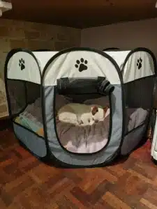 Puppy PetIcon Foldable Pop-Up Dog Play Pen and Cats