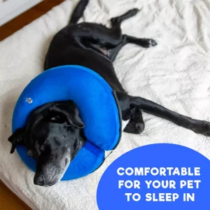 Comfortable Inflatable Recovery Collar for Cats & Dogs in Kenya