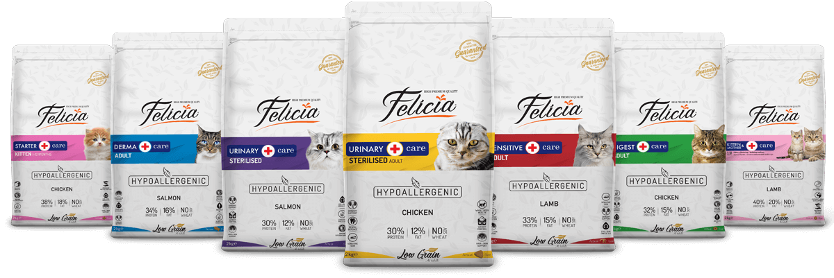 Felicia Dry Cat Food