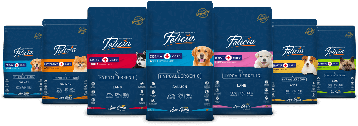 Felicia Dry Dog Food