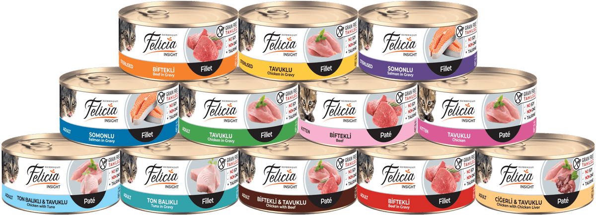 Felicia Wet Can Cat Food