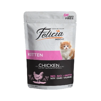 Cheap hotsell kitten food