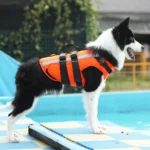 Floatation Swimwear Dog Life Jacket in Kenya for Swimming and Service Dogs