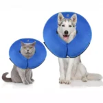 Inflatable Recovery Collar for Cats & Dogs in Kenya