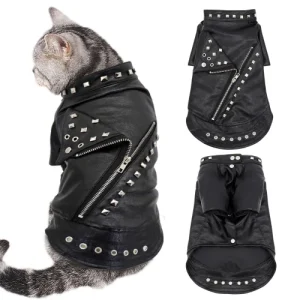 Punk Leather Cat Jacket for Cats with an Attitude