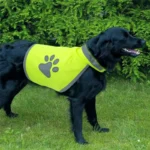 Quality UrbaDog Reflective Dog Safety Vest in Kenya