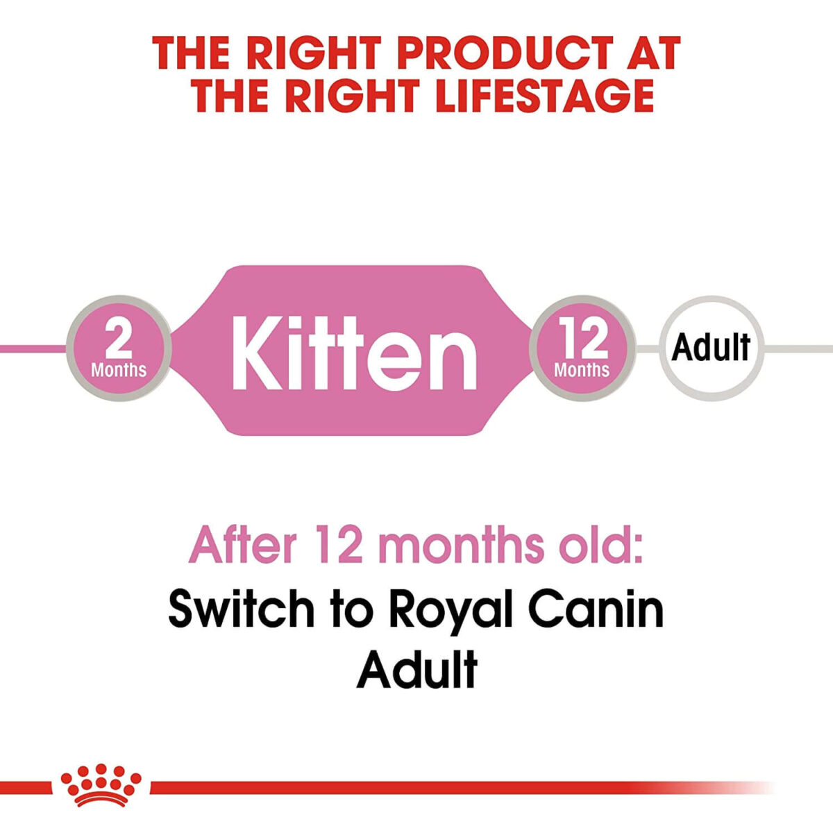 Royal Canin Kitten Chunks in gravy Right food right age