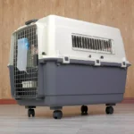 Buy Spacious IATA Pet Crate Carrier Air Travel for Dogs & Cats