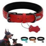 Two-Tone PU Leather Padded Dog Collar