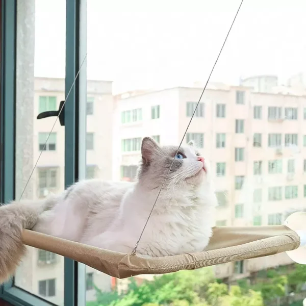 Window Mounted Cat Hammock Perch Bed in Kenya