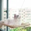 Window Mounted Cat Hammock Perch Bed in Kenya