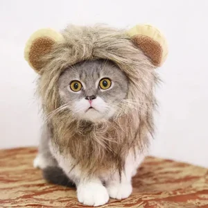 Beautiful and Funny Lion Mane Cats Costume