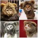 Best Lion Mane Cats Costume for Halowwen and Pet Party