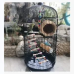 Comfortable Round Sonata Bird Cage