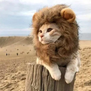 Fancy Lion Mane Cats Costume