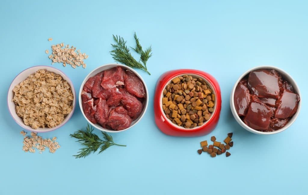 How to Switch Pet Foods - Transitioning Your Pet's Diet