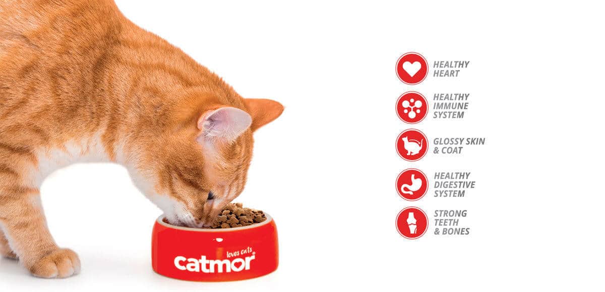 Catmor Cat Food Brand Benefits