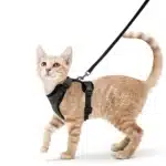 Comfort Travel Adjustable Cat Harness & Leash