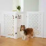 Deco Circles Pattern Freestanding Foldable Wooden Dog Gate