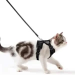 Walking Comfort Travel Adjustable Cat Harness & Leash