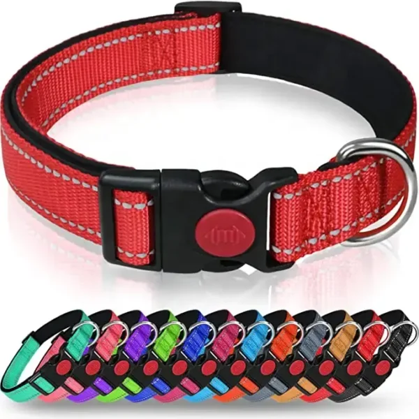 Petsasa Adjustable Reflective Nylon Dog Collar