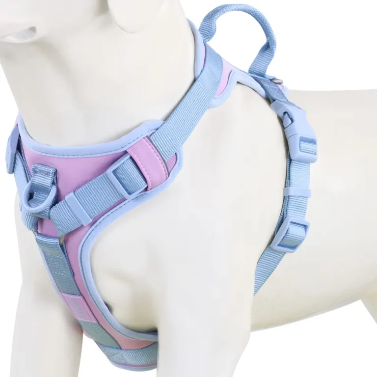 Blue Ice No Pull Front Clip Dog Harness at Petsasa kenya