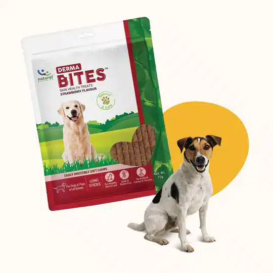 DERMA BITES Skin Health Dog Treats in Kenya