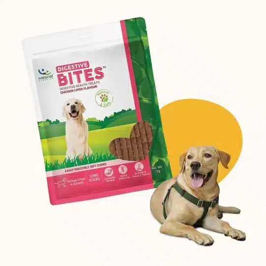 Buy DIGESTIVE BITES Digestive Health Treats in Kenya