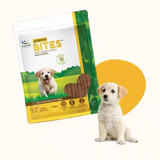 JUNIOR BITES Puppy Treats for Young dogs in Kenya