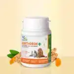 Orthoron Plus Advanced Joint Care Supplement for Dogs & Cats at Petsasa petstore