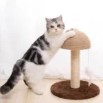 Buy Catco Mushroom Head Cat Scratching Post in Kenya