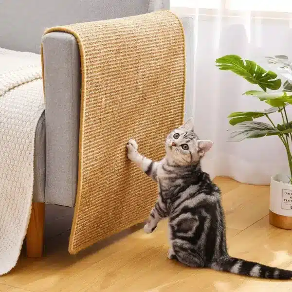 Catco Cat Scratcher Mat Sisal Furniture Cover Roll at Petsasa Kenya