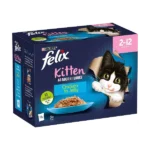 FELIX® As Good As It Looks Junior Chicken in Jelly Kitten at Petsasa petstores