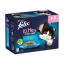FELIX® As Good As It Looks Junior Chicken in Jelly Kitten at Petsasa petstores