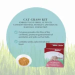 Benefits of Bioline Natural Cat Grass Seed Growing Kit