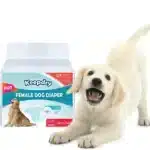 KPDry Disposable Female Dog Diapers at Petsasa